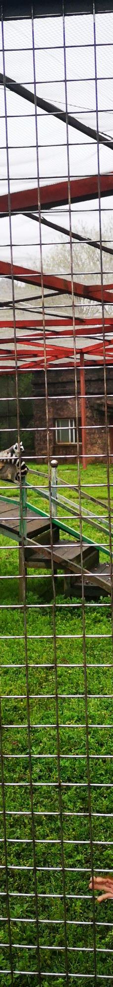 南昌动物园-南昌