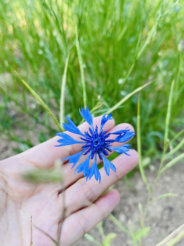 花仙谷景区旅行图片 9