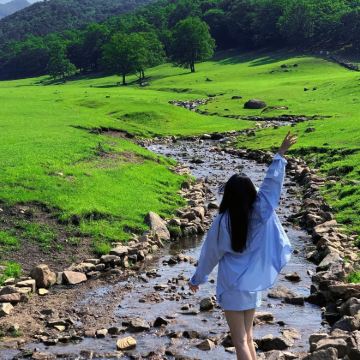 沈阳+丹东+长白山+镜泊湖风景区+哈尔滨+齐齐哈尔+呼伦贝尔+漠河+北极村+黑河+五大连池市14日13晚跟团游