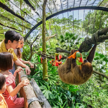 新加坡+民丹岛+新山8日7晚私家团