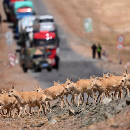 玉树市+三江源国家公园+新寨嘉那嘛呢石经城+龙羊峡+尕尔寺大峡谷生态旅游区+察尔汗盐湖+大柴旦翡翠湖旅游景区14日13晚私家团