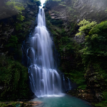 江西井冈山+黄洋界+井冈山革命博物馆2日1晚私家团