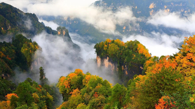 九寨沟旅行社前十强：2025年避坑指南