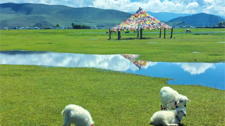 10D9N · Private Tours · Escape Hustle Embrace Nature + Kunming + Dali City + Lijiang + Shangri-La· Dali, Shangri-La, Lijiang, Dukezong, Yulong Snow Mountain, Songzanlin Monastery, Tiger Leaping Gorge