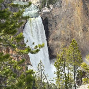 洛杉矶+怀俄明州+盐湖城+黄石国家公园7日6晚私家团