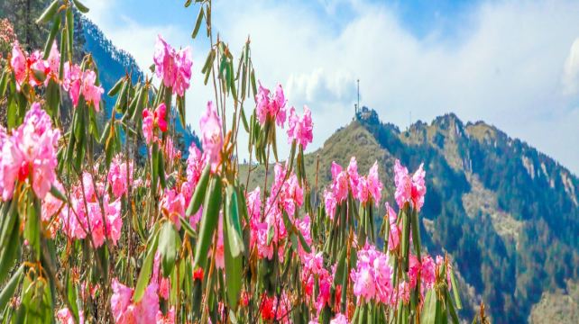 神农架、宜昌+2