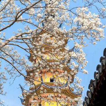 苏州+周庄3日2晚跟团游