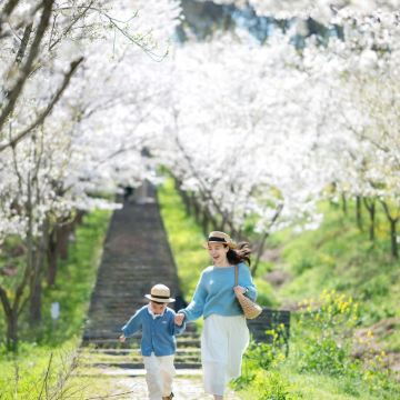 济南+泰山风景区+曲阜+淄博6日5晚私家团