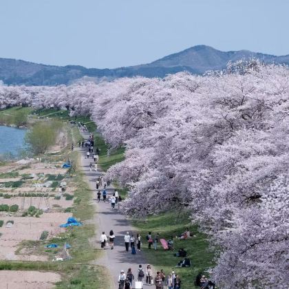 日本仙台5日4晚私家团