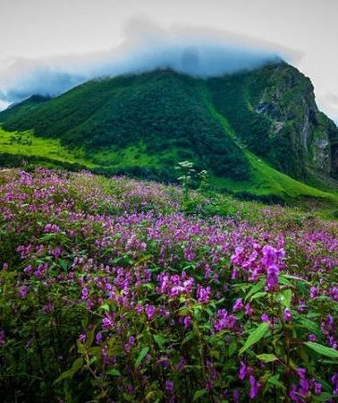 6D5N • Valley of Flowers and Hemkund Trek- Banbanjara