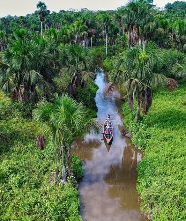 4D3N • 4-Day Tambopata Amazon Rainforest Adventure