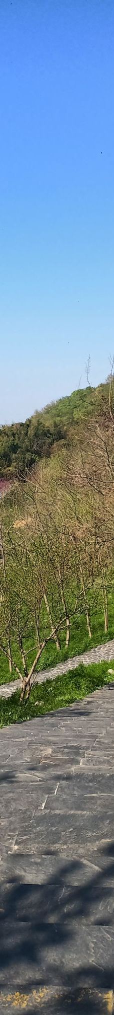 捺山地质公园-仪征