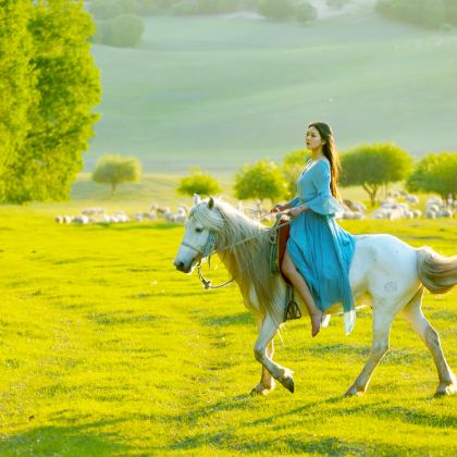 呼伦贝尔+满洲里+额尔古纳+海拉尔+呼伦贝尔大草原+根河8日7晚自由行