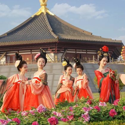 洛阳龙门石窟+老君山景区+白马寺+少林寺4日3晚跟团游