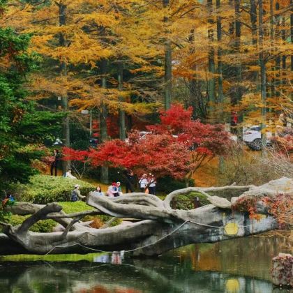 余姚四明湖+李家坑古村落+柿林村+四明山国家森林公园3日2晚私家团