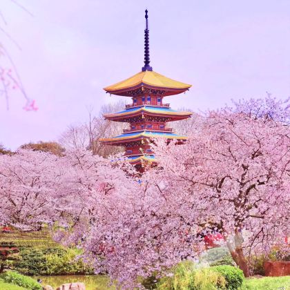 武汉+黄鹤楼+东湖生态旅游风景区+长江三峡+三峡大坝4日3晚跟团游