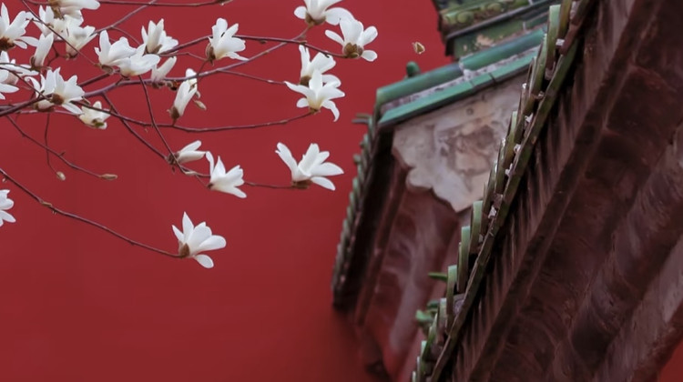 北京5日4晚拼小团·真纯玩0购物0自费【封顶9人轻奢小团 享：2环沿线4钻高分酒店 赠：国家热门博物馆】老北京导游精讲 皇城经典5A景点一次搞定 观升旗仪式 儿童含酒店自助早+门票 24小时专车接送