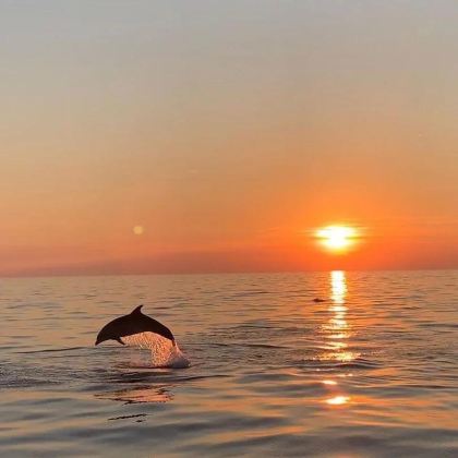 西班牙马略卡岛+阿尔库蒂亚+巴尔德莫萨+索列尔5日4晚私家团