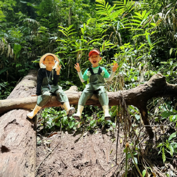 云南西双版纳5日4晚私家团