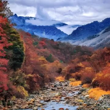 宝鸡黄柏塬+大岭云海+佛坪熊猫谷旅游区+华阳古镇5日4晚私家团