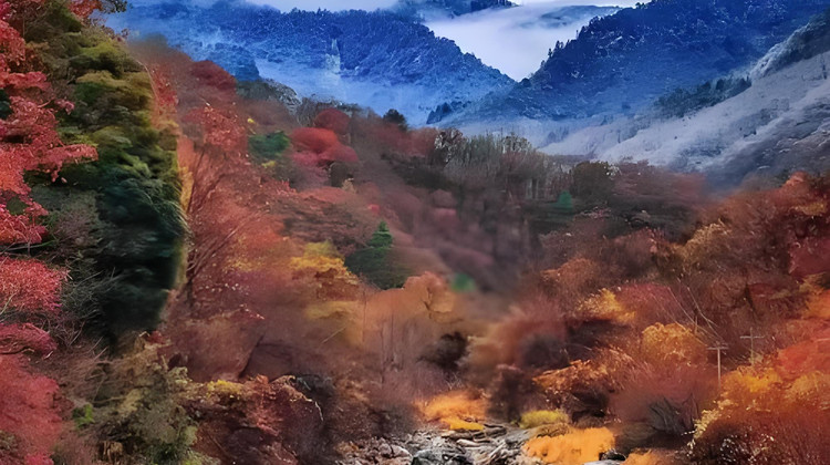寶雞黃柏塬+大嶺云海+佛坪熊貓谷旅游區(qū)+華陽(yáng)古鎮(zhèn)5日4晚私家團(tuán)