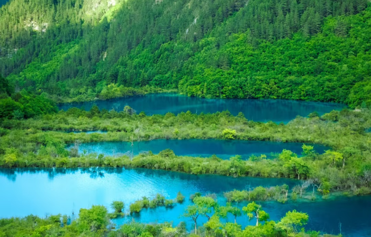 7-day 6-night · Private tours · Jiuzhaigou National Park + Mount Siguniang + Sanxingdui Museum · Gain a deeper understanding of the thousand year old legend of the ancient Shu Kingdom and visit the Panda Park to see the returning panda 'Fubao'. Experience your first hiking trip on the snow ridge of Mount Siguniang. Enjoy accommodation in a local high-quality home stay in Siguniang Mountain and a comfortable four diamond hotel in Jiuzhaigou Valley Scenic and Historic Interest Area. Contact our online customer service for more details.