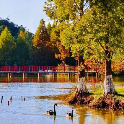 云南昆明+大理市+丽江+泸沽湖+西双版纳10日9晚跟团游