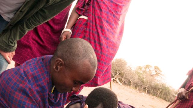 6-Day Tanzania Camping Adventure Tour from Arusha·Mto wa Mbu Community Visit | Ngorongoro | Serengeti National Park