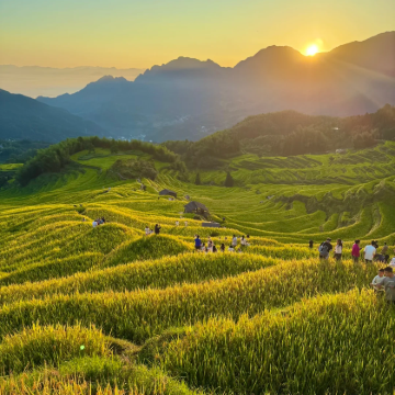 浦江+丽水+云和+松阳4日3晚私家团