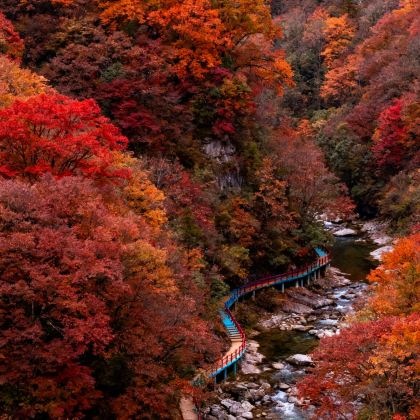 巴中+光雾山旅游景区+米仓山国家森林公园+十八月潭景区5日4晚私家团