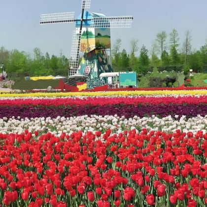 盐城中华麋鹿园+盐城大丰港动物园3日2晚自由行