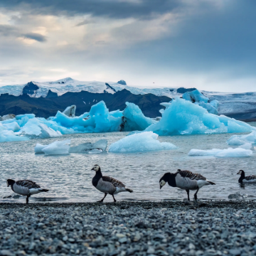 芬兰+冰岛9日6晚私家团
