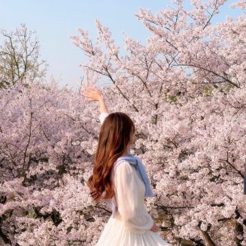 韩国首尔4日3晚自由行