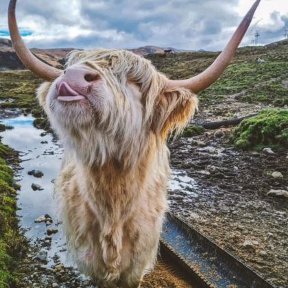 英国伦敦+剑桥+温德米尔+爱丁堡+约克+苏格兰高地+天空岛+多佛尔白色悬崖12日11晚拼小团