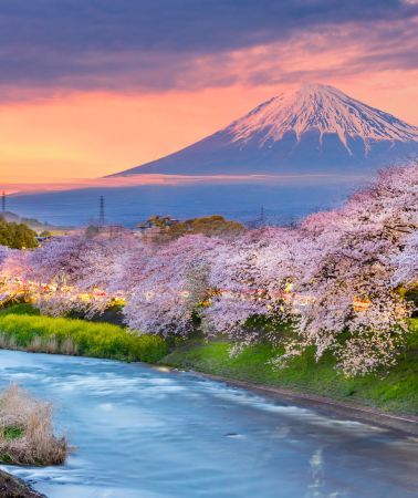 2D1N • Japan Mount Fuji Cycling Adventure