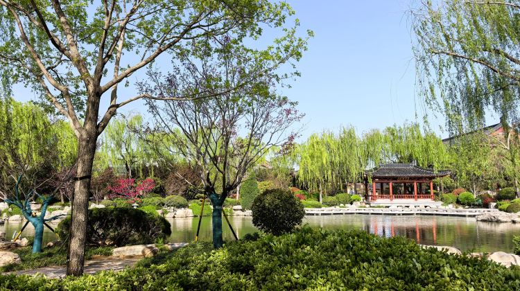 3D2N · Group Tours · On this tour, try Hanfu styling, savor Lintong's local flavors, wander the ancient City Wall, marvel at the Terracotta Army, and delve into the grandeur of Tang Dynasty culture.