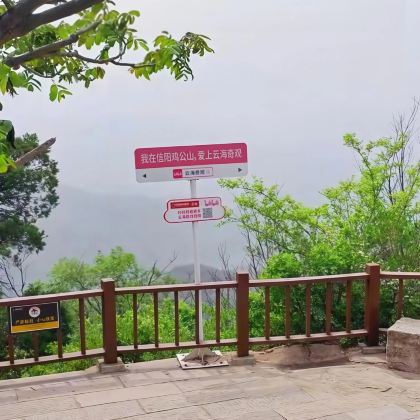 河南信阳南湾湖风景区+文新茶村+鸡公山景区+波尔登森林公园3日2晚私家团