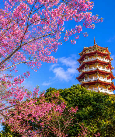 8天7晚 • 台北+苗栗+台中+南投+新竹 親子遊