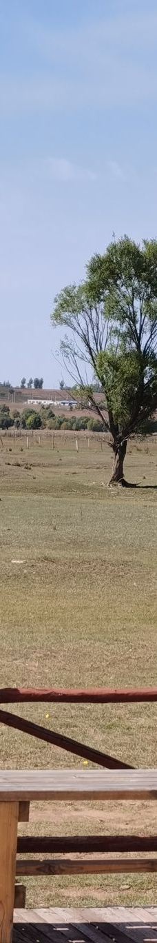 苏泊罕大草原旅游景区-伊金霍洛旗