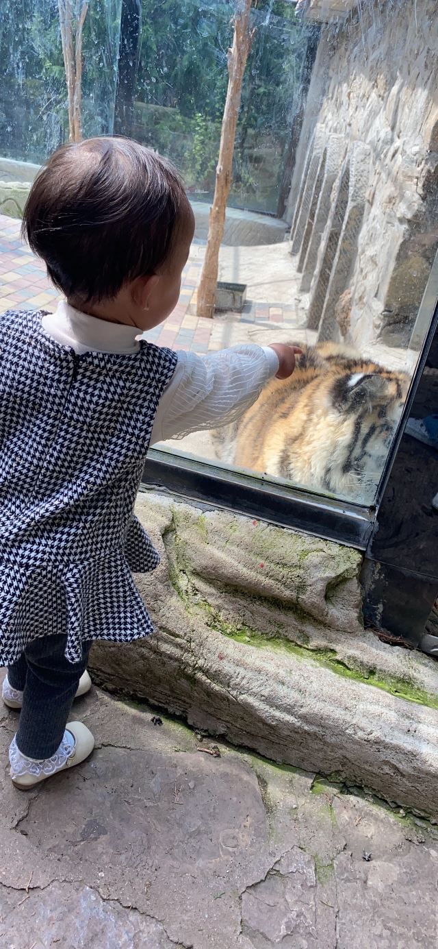 宝山前野生动物园旅行图片 2