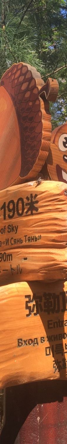 南药泉-五大连池