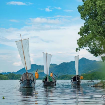 丽水+松阳5日4晚私家团