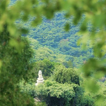 山东淄博+仰天山国家森林公园+石门坊+井塘古村+青州古城3日1晚私家团