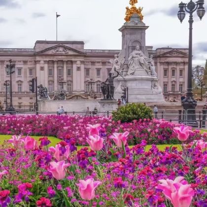 英国11日9晚私家团