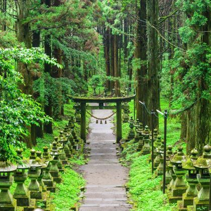 日本福冈+熊本5日4晚私家团