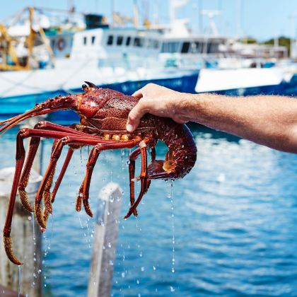 澳大利亚阿德莱德+澎湃粉红湖8日5晚私家团