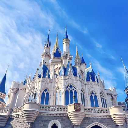 东京+富士山+东京迪士尼乐园5日4晚跟团游