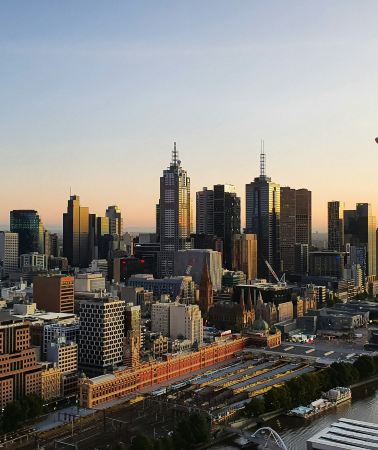 2D1N • Brisbane City Highlights + Moreton Island Dolphin Feeding, Sandboarding & Whale Watching & 4WD Vehicles Optional