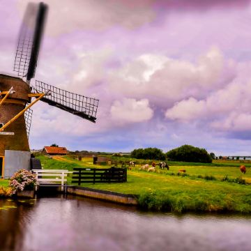 荷兰+比利时+卢森堡+德国+法国9日8晚跟团游 荷兰+比利时+卢森堡+德国+法国9日8晚跟团游