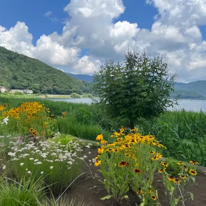 日本东京+富士山3日2晚跟团游